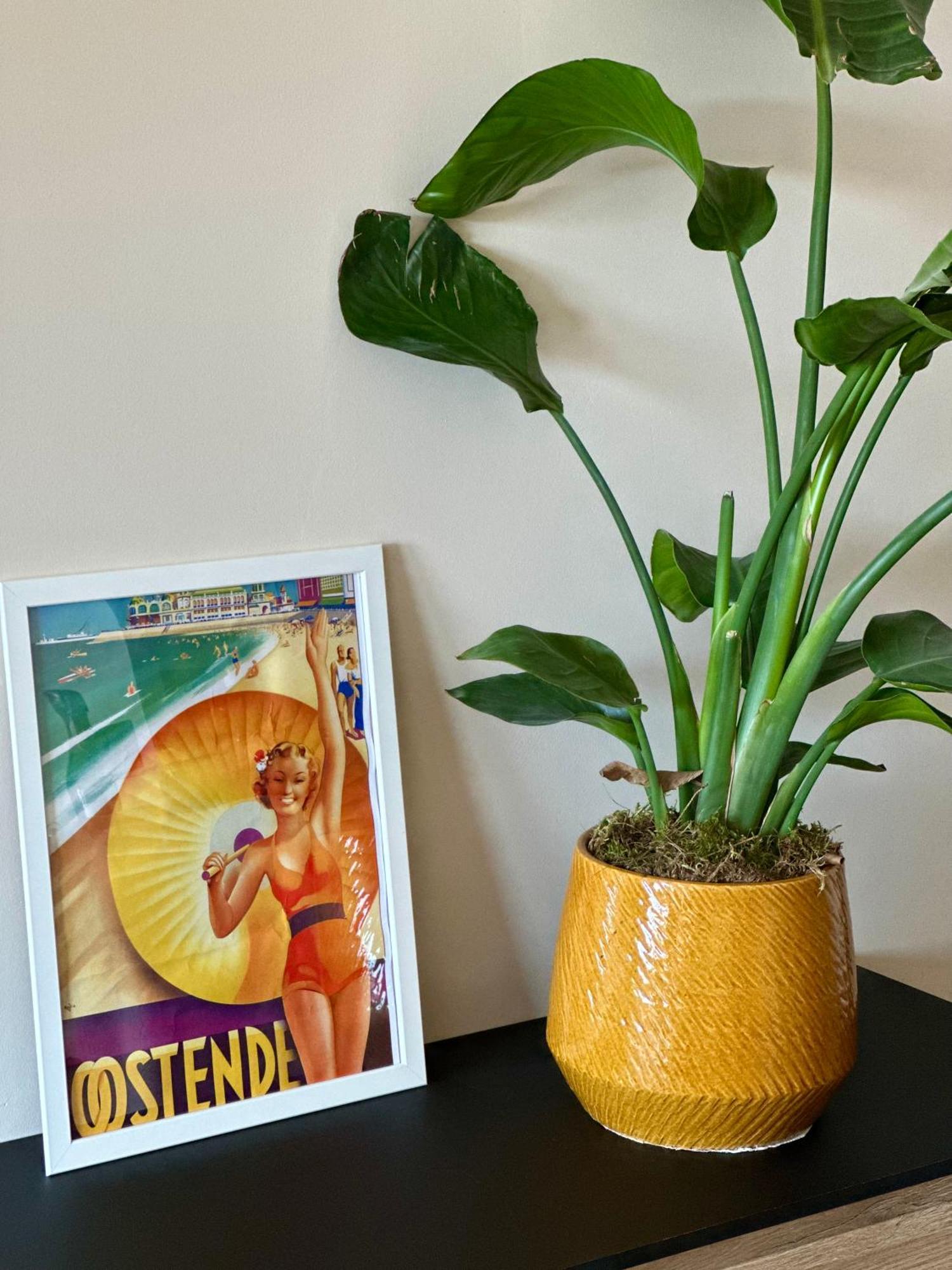 Studio By Aimee - 20M From The Beach & In City Centre! Ostend Luaran gambar
