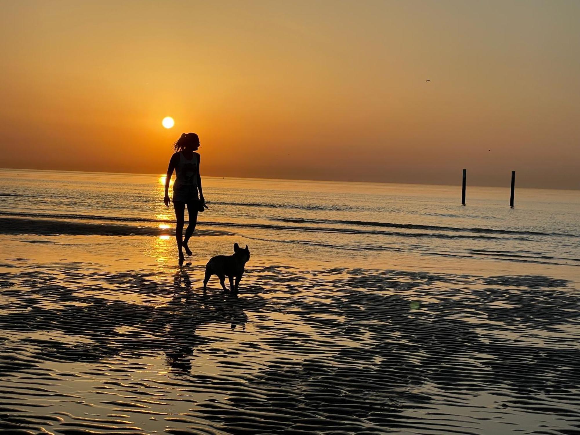 Studio By Aimee - 20M From The Beach & In City Centre! Ostend Luaran gambar